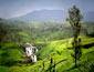 /images/Destination_image/Nuwara Eliya/85x65/St-Claires-Waterfall,-Nuwara-Eliya,-Sri-Lanka.jpg